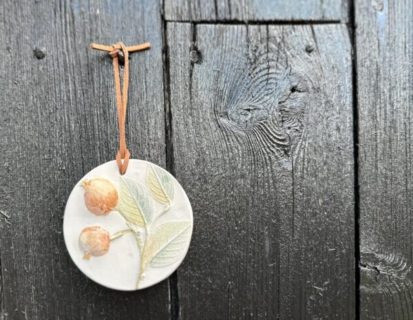 Watercolour painted hanging Room diffuser, beautiful, handmade , cast from real apples. With a bottle of Love red apple fragrance.