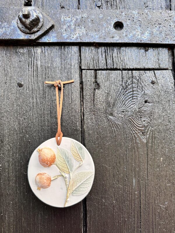 Watercolour painted hanging Room diffuser, beautiful, handmade , cast from real apples. With a bottle of Love red apple fragrance. - Image 5